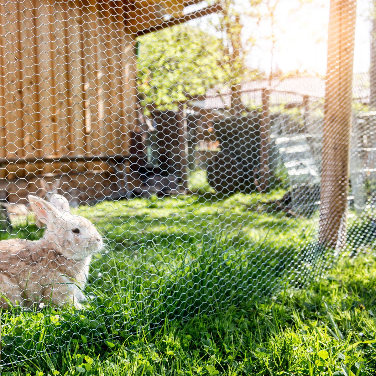  Grillage 1x5mm carré 12,7mm fer galvanisé Windhager