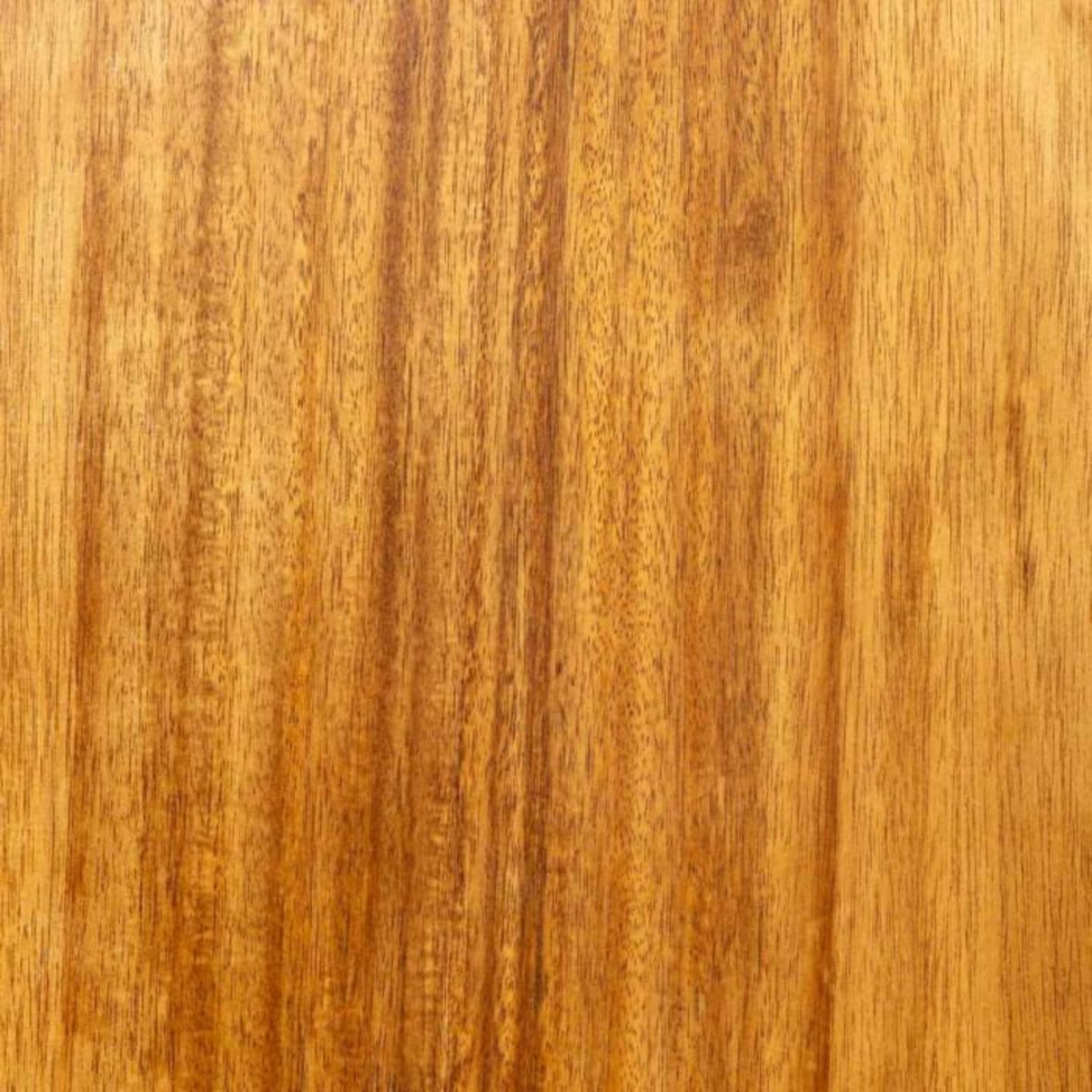 FIVE Abattant WC en bois  Acacia  46cm Naturel