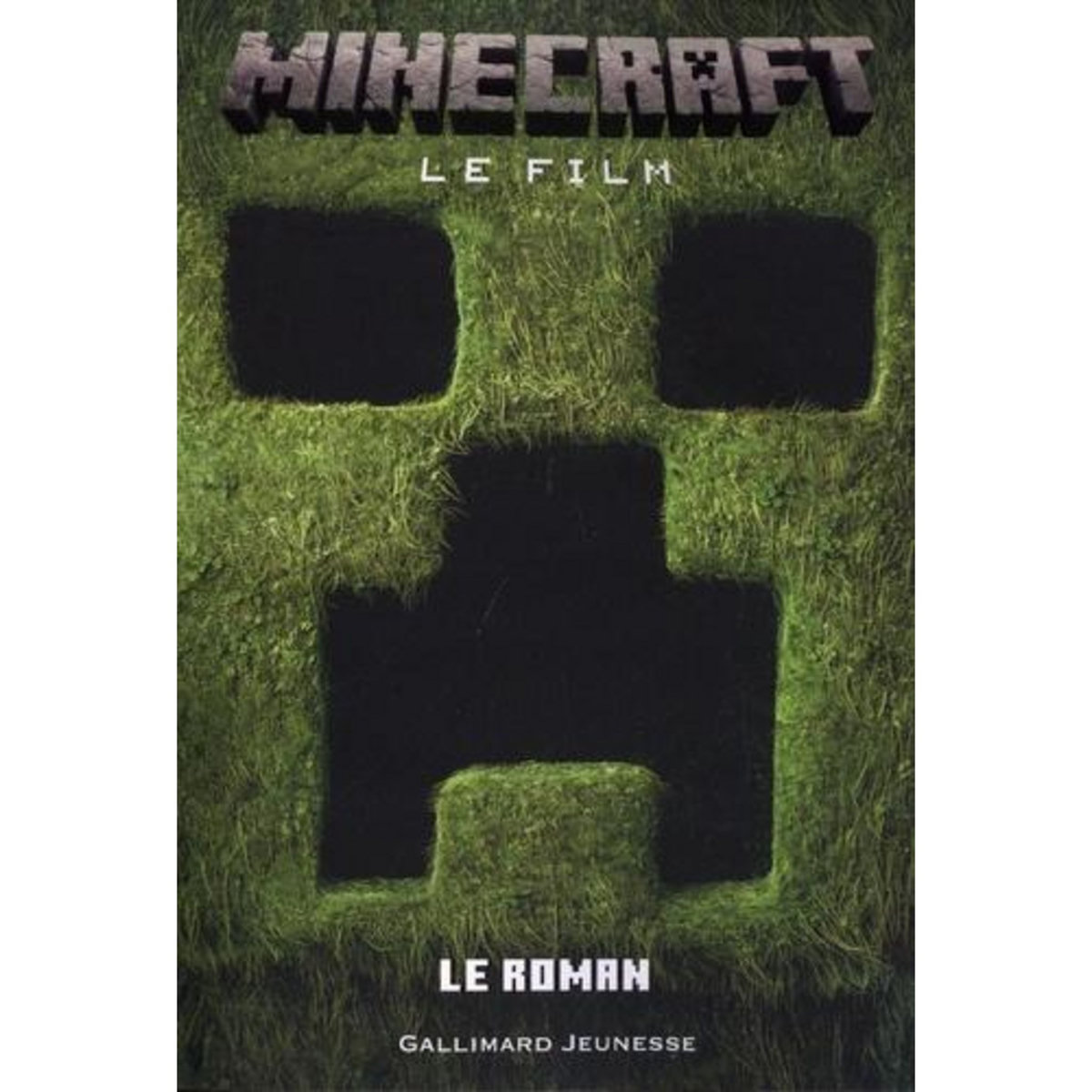 MINECRAFT, LE FILM, Lewman David