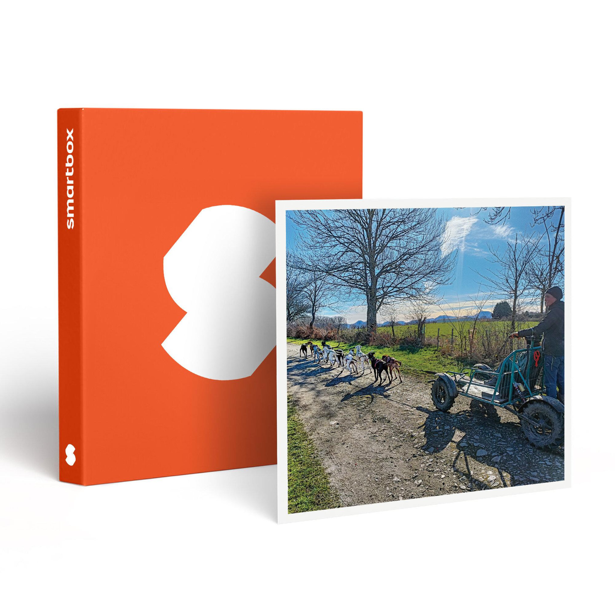 Smartbox Aventure insolite en famille : 1h30 de balade en cani-kart près de clermont-ferrand - coffret cadeau sport & aventure