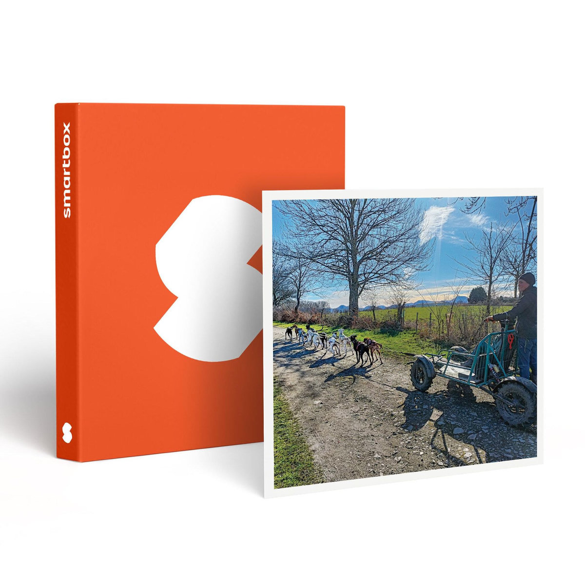 Smartbox Aventure insolite en famille : 1h30 de balade en Cani-Kart près de Clermont-Ferrand - Coffret Cadeau Sport & Aventure