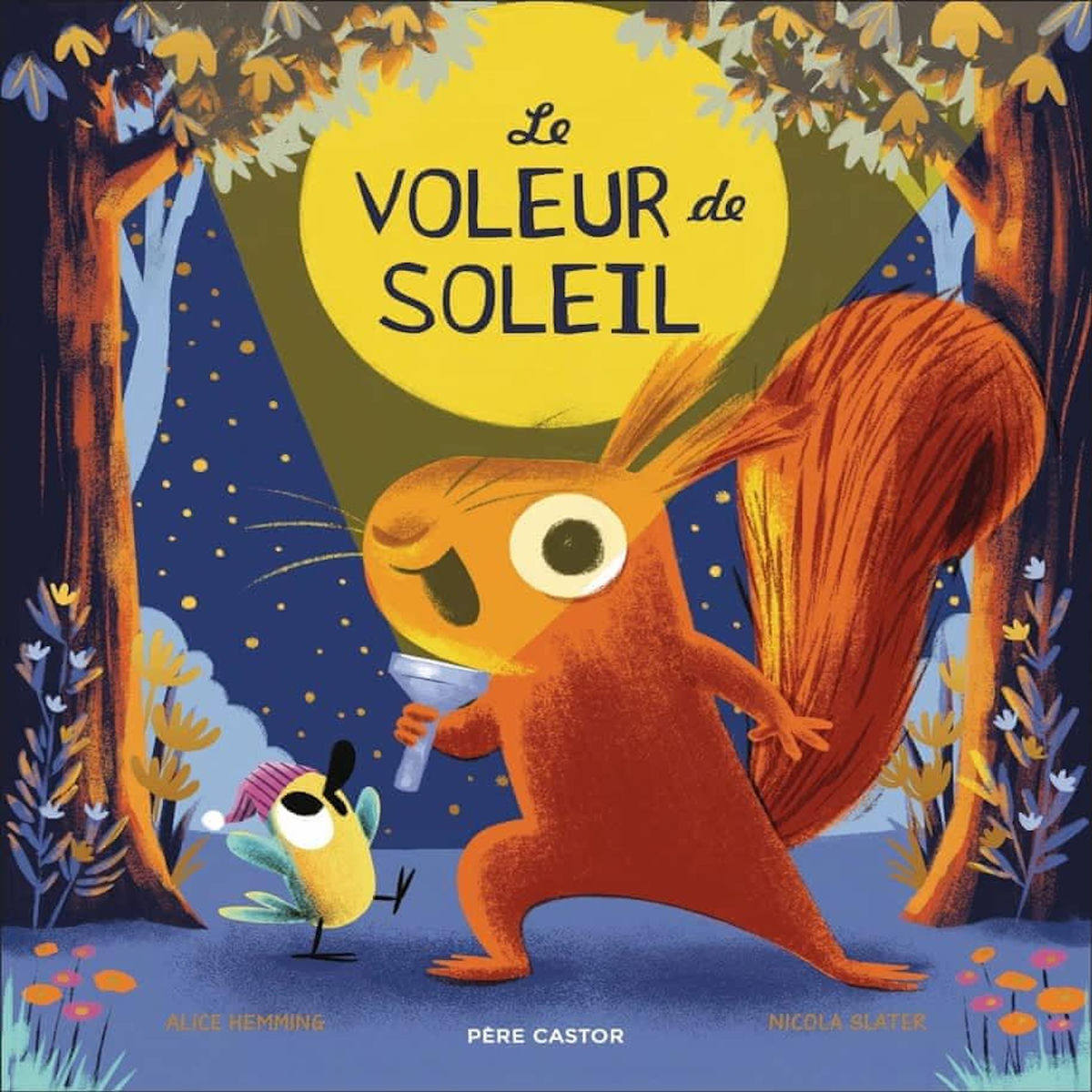 LE VOLEUR DE SOLEIL, Hemming Alice