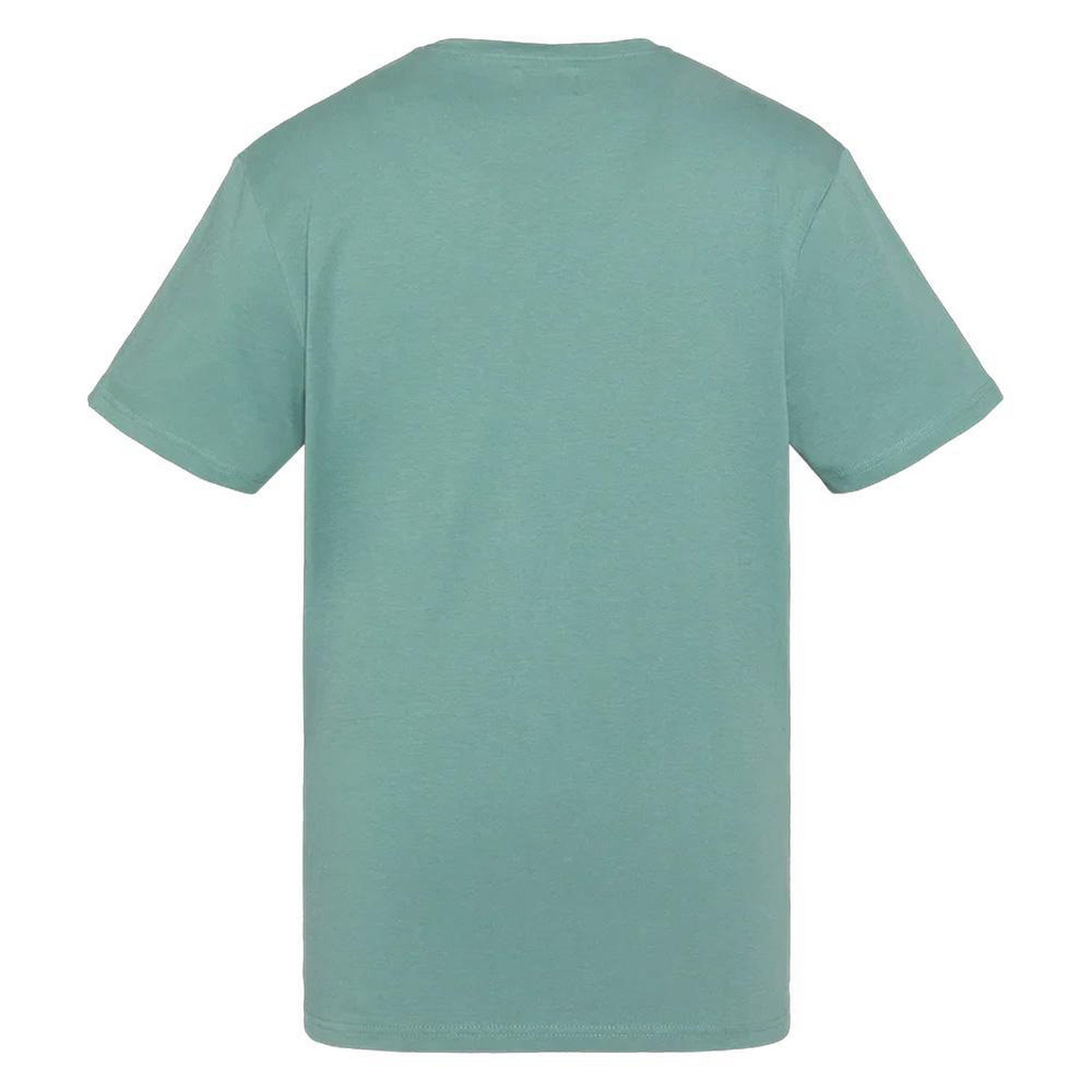 Voir la diapositive 2 : Schott T-shirt Vert Homme Schott EMBE