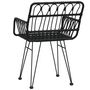 Voir la diapositive 6 : VIDAXL Chaises de jardin lot de 2 avec accoudoir Noir 56x64x80 cm