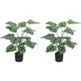 Voir la diapositive 1 : HOMCOM Lot de 2 plantes artificielles H.65cm 18 feuilles par plante pots inclus