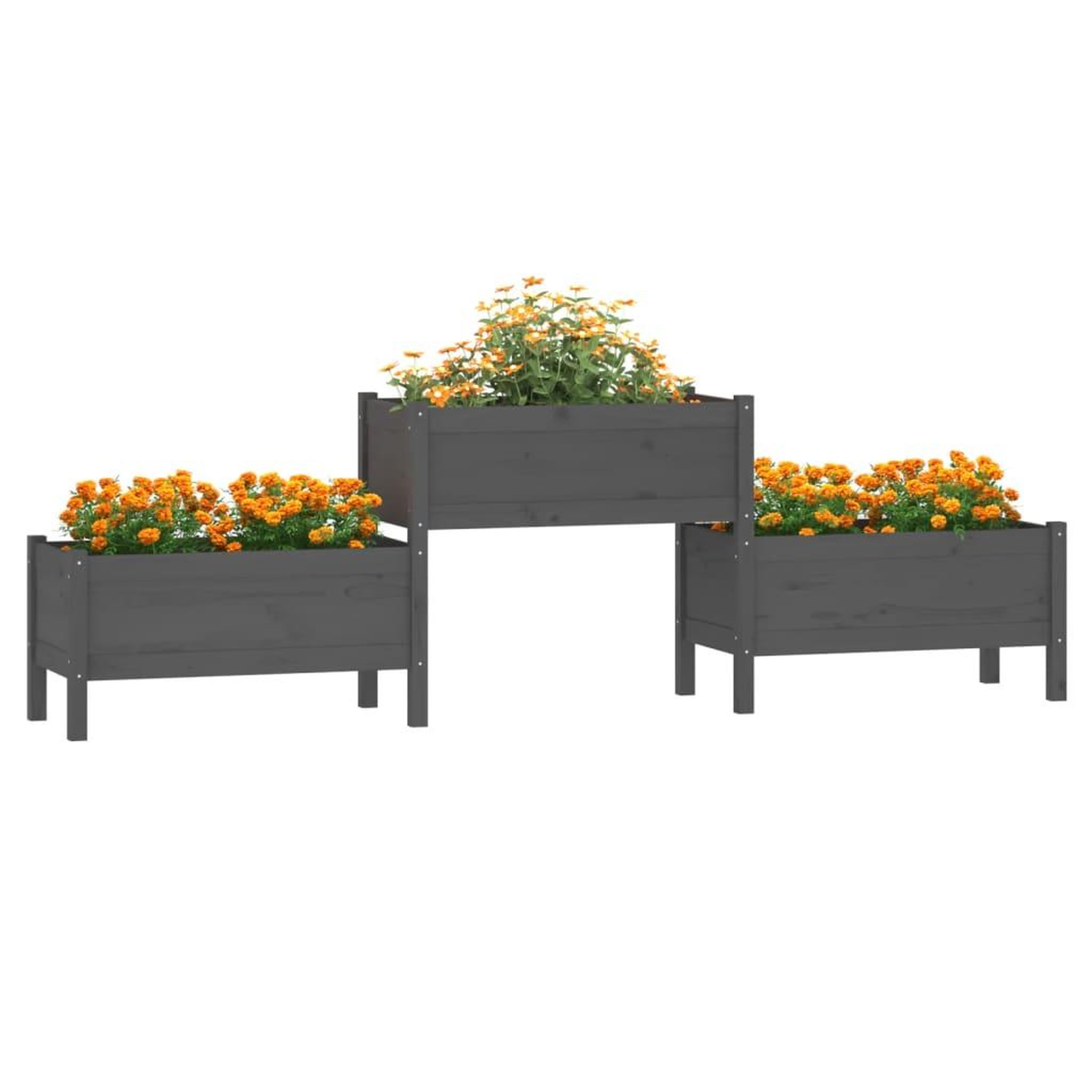 Voir la diapositive 3 : VIDAXL Jardiniere Gris 245,5x44x75 cm Bois massif de pin