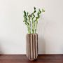 Voir la diapositive 5 : PLANT IN A BOX Lucky Bamboo - Set de 6 - Dracaena sanderiana - Hauteur 40-50cm - ⌀2cm