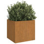 Voir la diapositive 3 : VIDAXL Jardiniere 49x47x46 cm acier corten