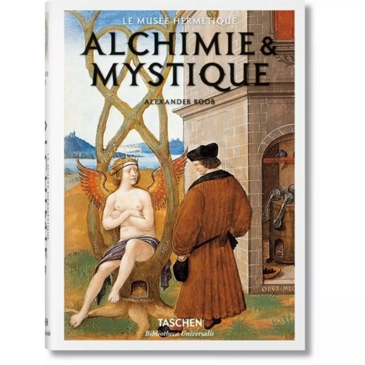  ALCHIMIE & MYSTIQUE. LE MUSEE HERMETIQUE, Roob Alexander