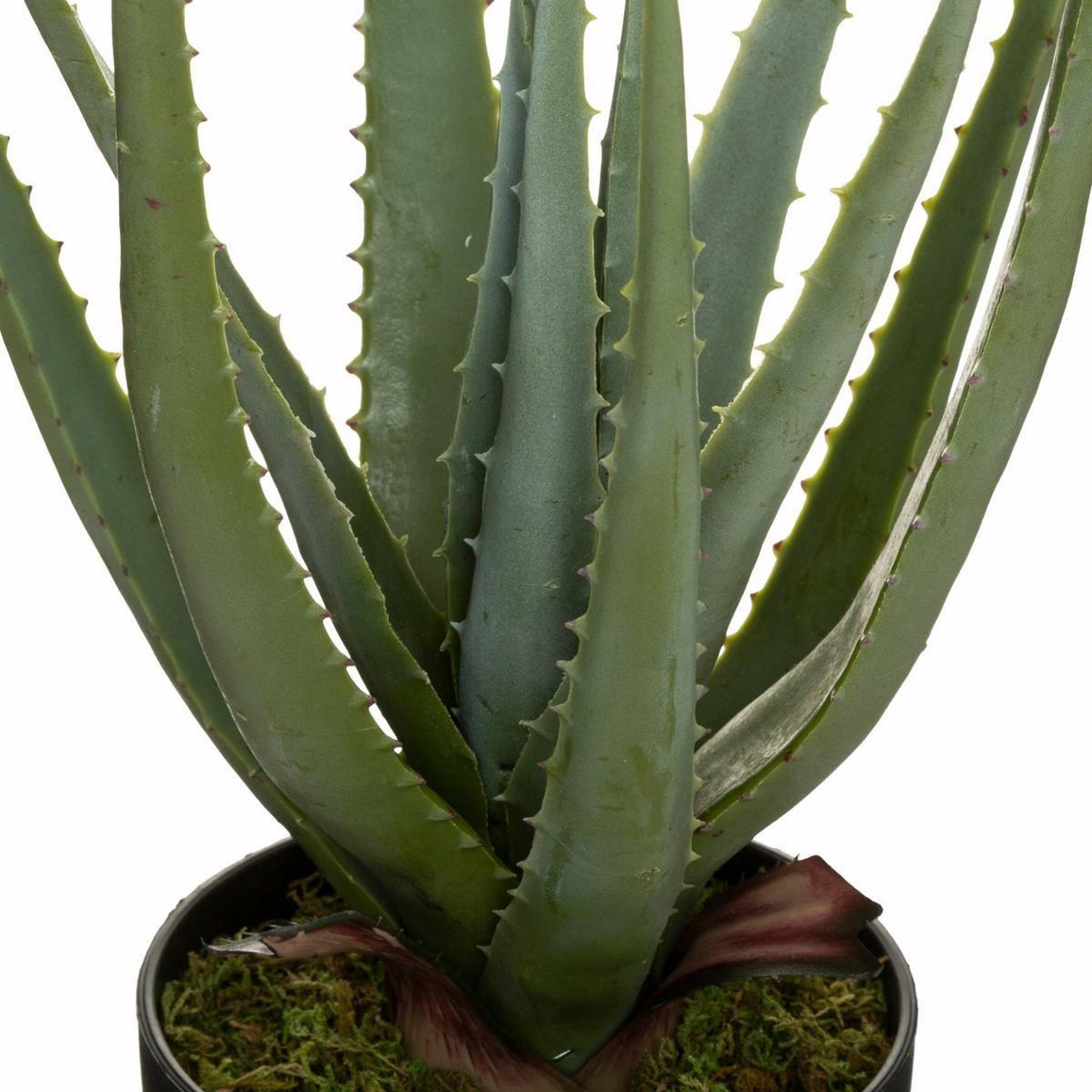 Voir la diapositive 2 : ATMOSPHERA Plante artificielle en pot  aloe vera  44cm vert