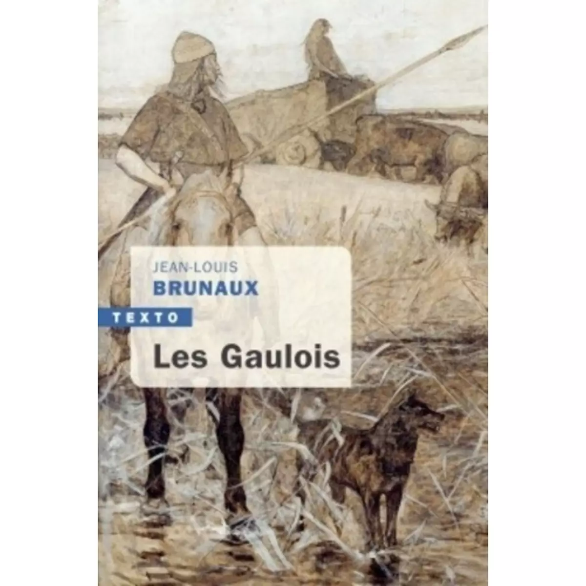  LES GAULOIS, Brunaux Jean-Louis