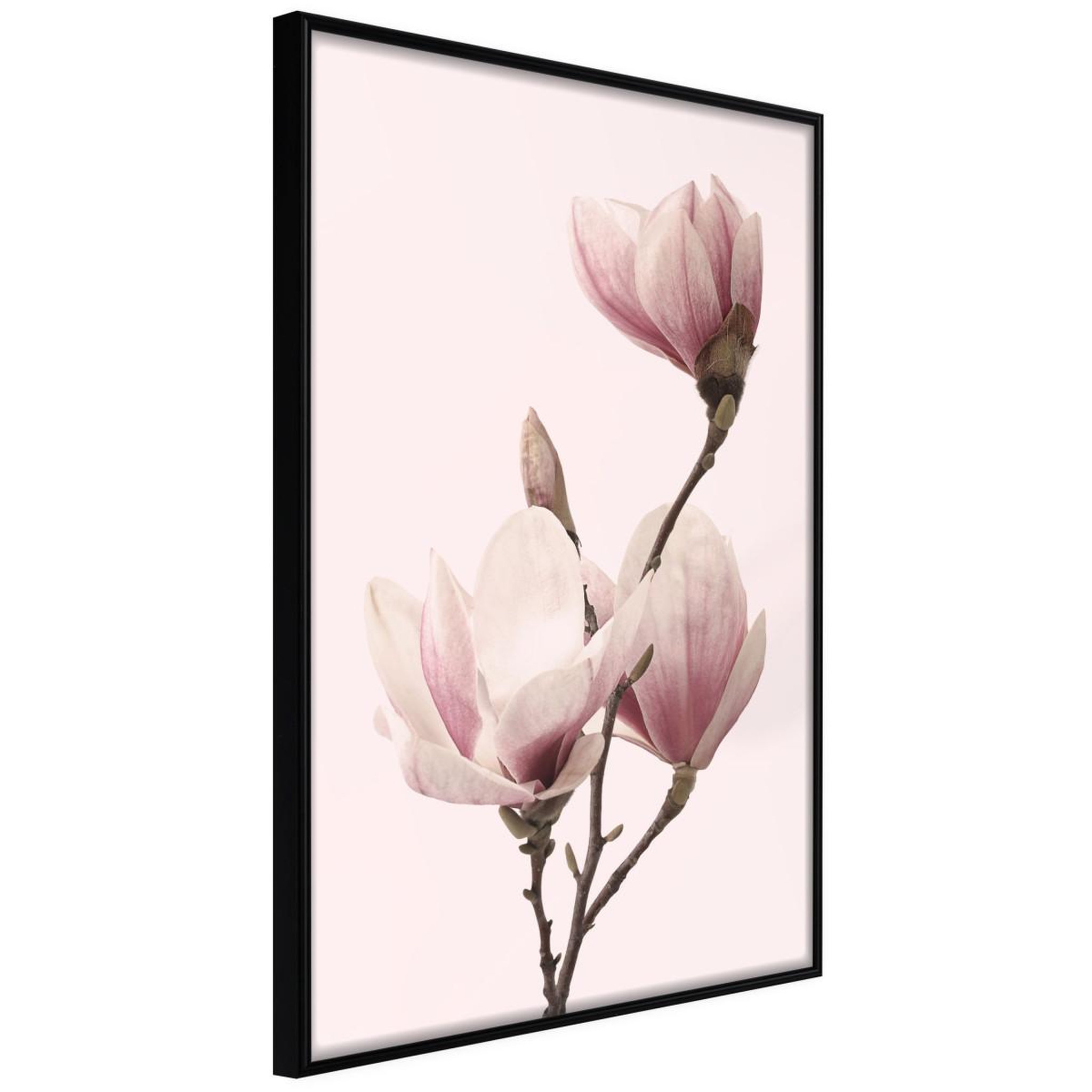 Paris Prix Affiche murale encadrée  blooming magnolias iii. Coloris disponibles : Jaune, Noir