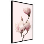 Paris Prix Affiche Murale Encadrée  Blooming Magnolias III. Coloris disponibles : Jaune, Noir