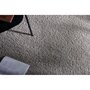 Voir la diapositive 5 : Paris Prix Tapis Déco  Teddy  200x300cm Gris