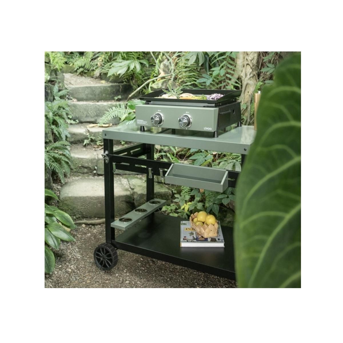 LIVOO Plancha gaz 5000w plaque acier émaillé 45.5x35.5cm - DOC323