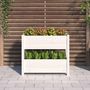 Voir la diapositive 3 : VIDAXL Jardiniere Blanc 77x25x66 cm Bois massif de pin