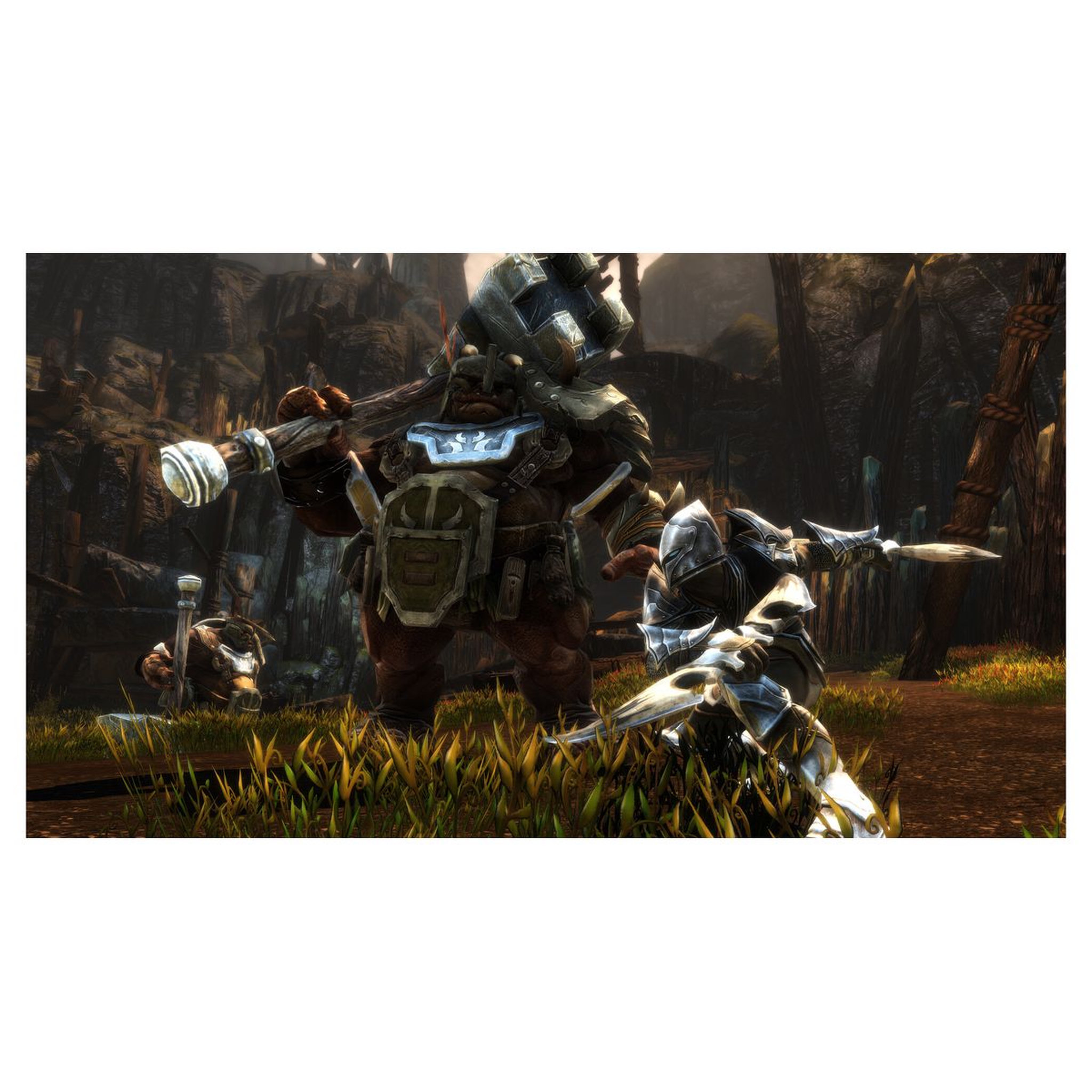 Voir la diapositive 5 : Kingdoms of Amalur Re-Reckoning Edition Collector Xbox One