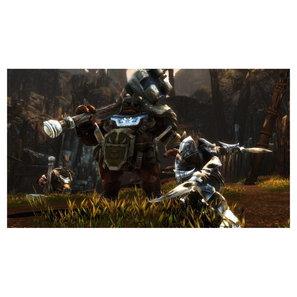 Kingdoms of Amalur Re-Reckoning Edition Collector Xbox One