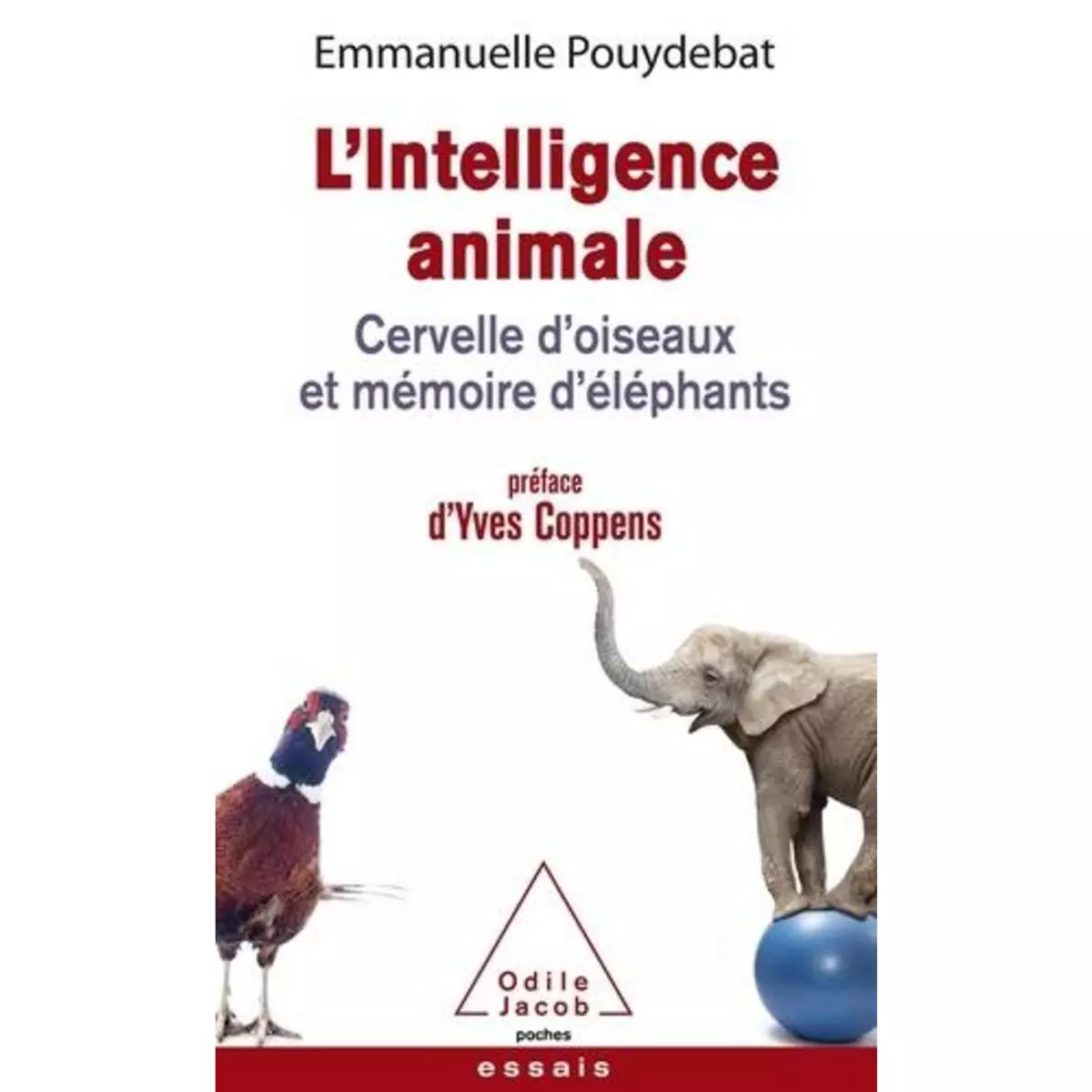  L'INTELLIGENCE ANIMALE. CERVELLE D'OISEAUX ET MEMOIRE D'ELEPHANTS, Pouydebat Emmanuelle