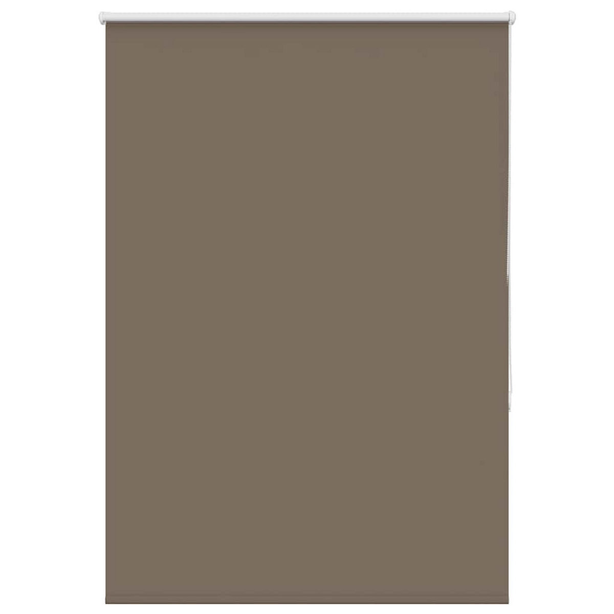 VIDAXL Store enrouleur occultant cafe 100x175cm largeur du tissu