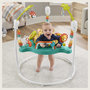 Voir la diapositive 4 : Fisher price Jumperoo Léopard 