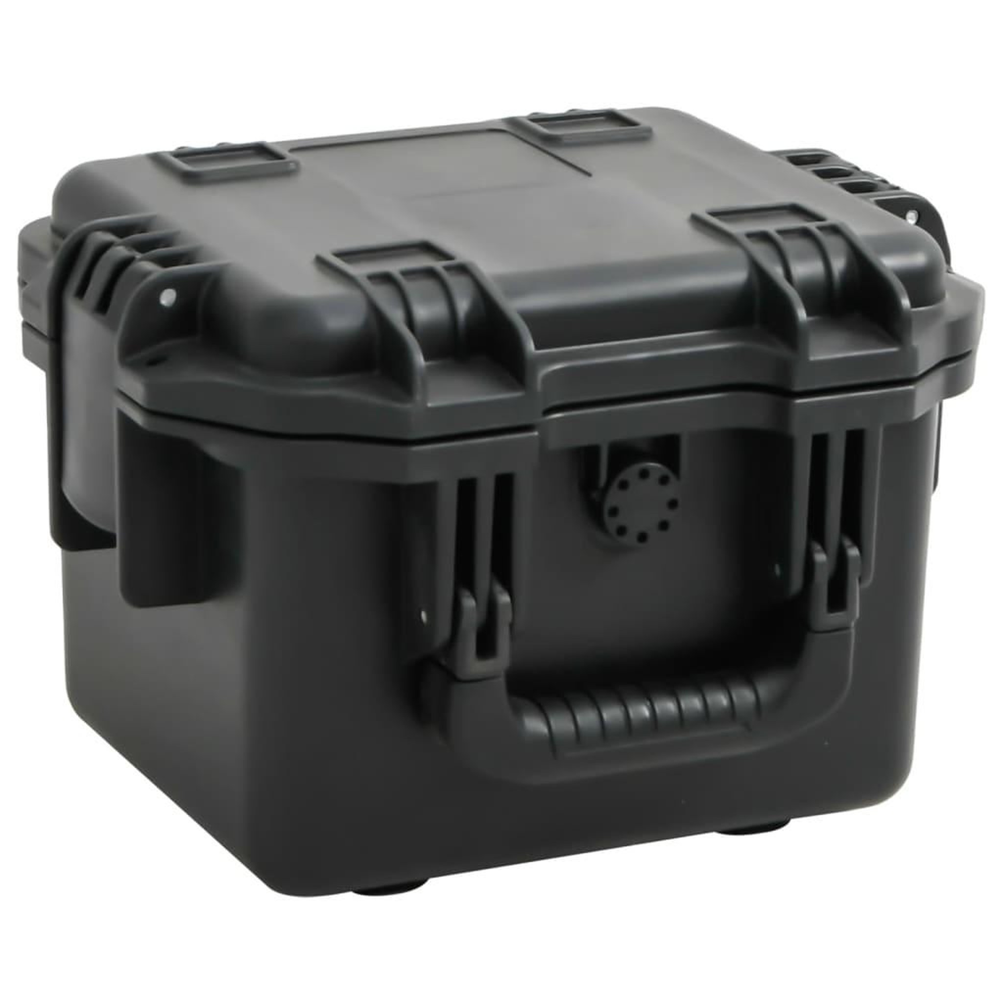 VIDAXL Valise de vol portable Noir 30x24,5x20 cm PP