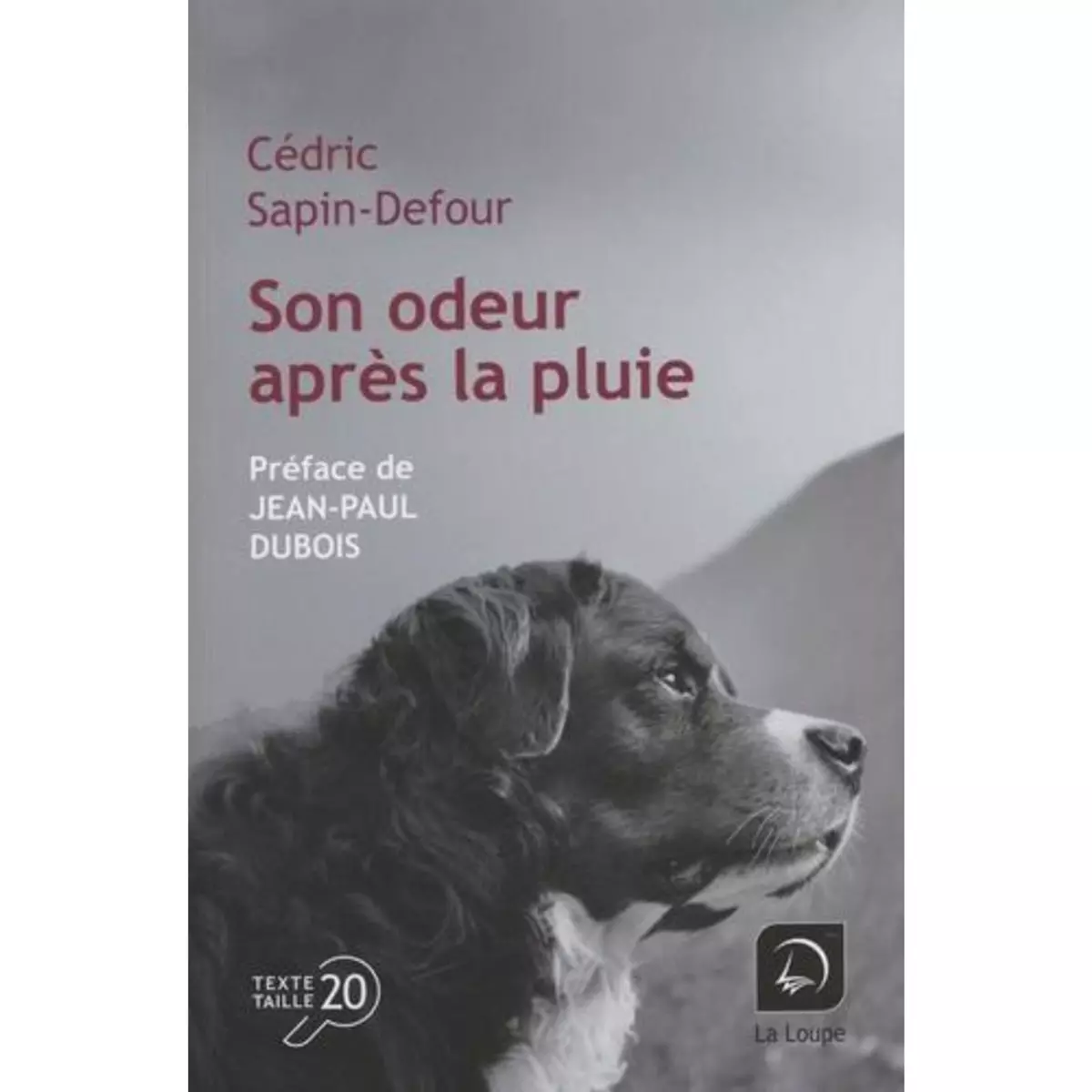  SON ODEUR APRES LA PLUIE [EDITION EN GROS CARACTERES], Sapin-Defour Cédric
