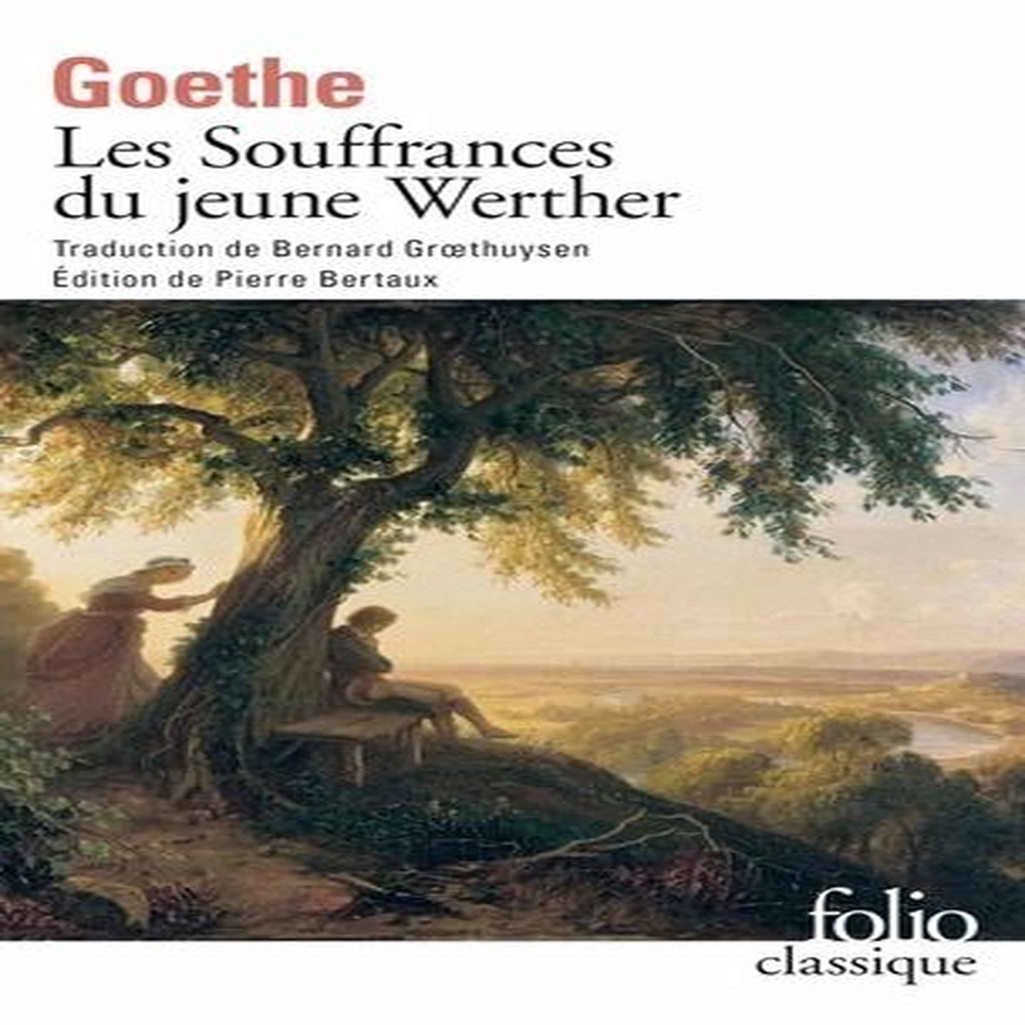 LES SOUFFRANCES DU JEUNE WERTHER, Goethe Johann Wolfgang von