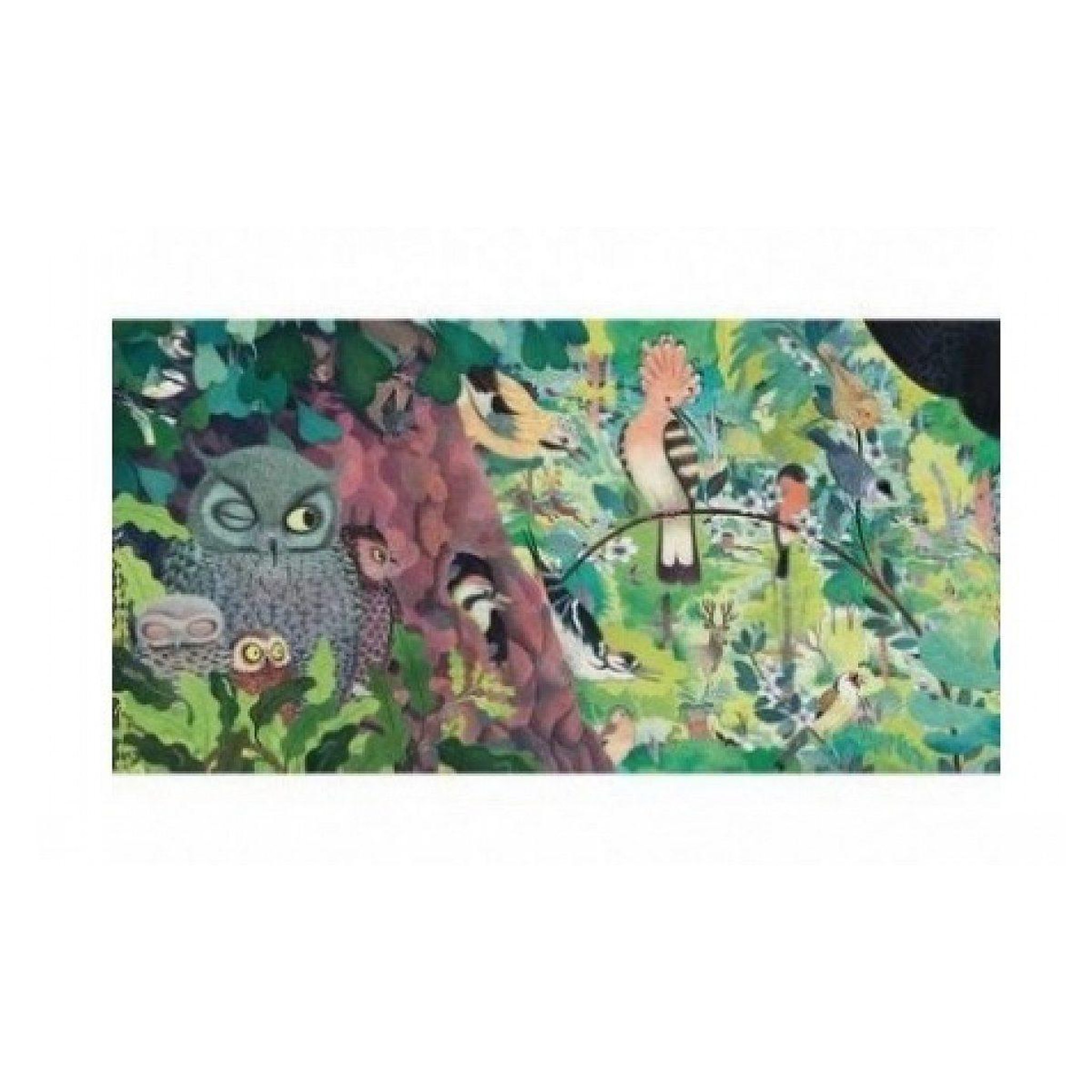 Djeco Puzzles gallery owls and birds 1000 pieces