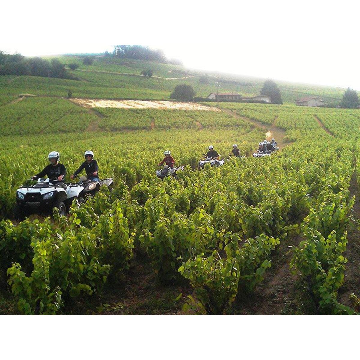 Smartbox Randonnée en quad en famille de 2h pour 2 adultes et 1 enfant près de Limoges - Coffret Cadeau Sport & Aventure