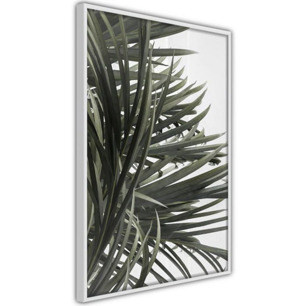 Paris Prix Affiche Murale Encadrée  Little Tropics