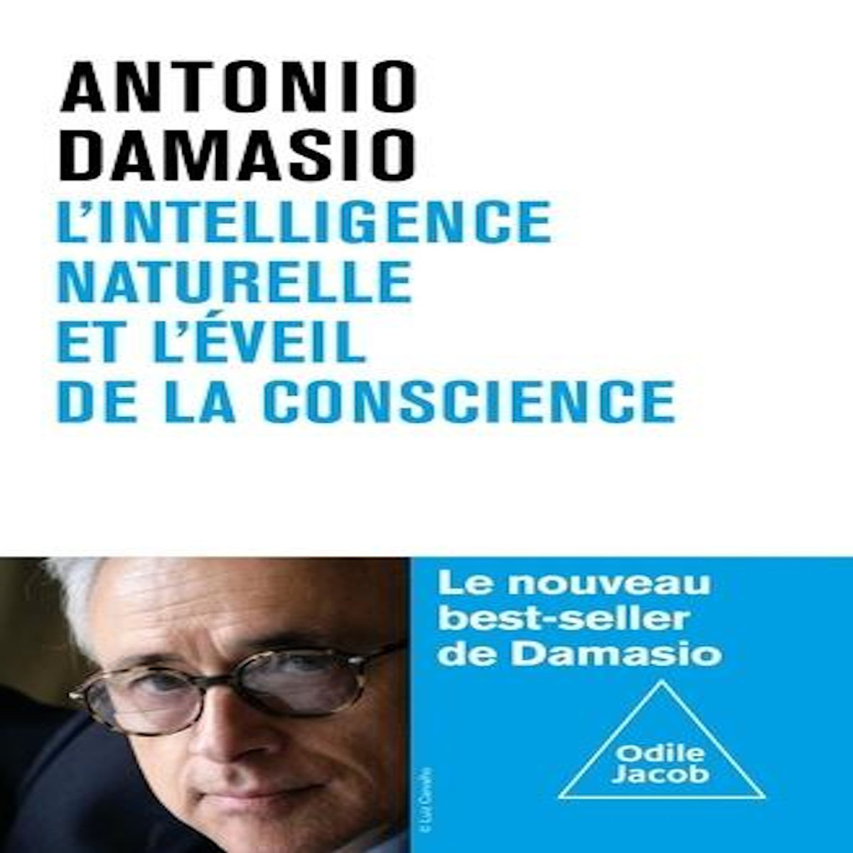 L'INTELLIGENCE NATURELLE ET L'EVEIL DE LA CONSCIENCE, Damasio Antonio