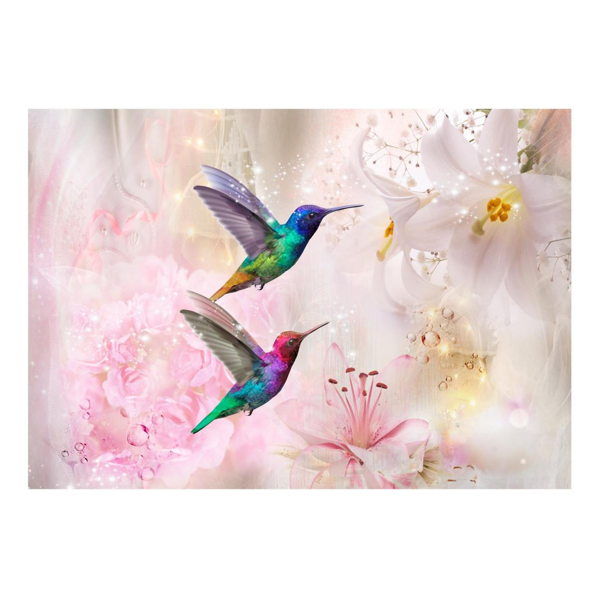 Voir la diapositive 2 : Paris Prix Papier peint  colourful hummingbirds pink