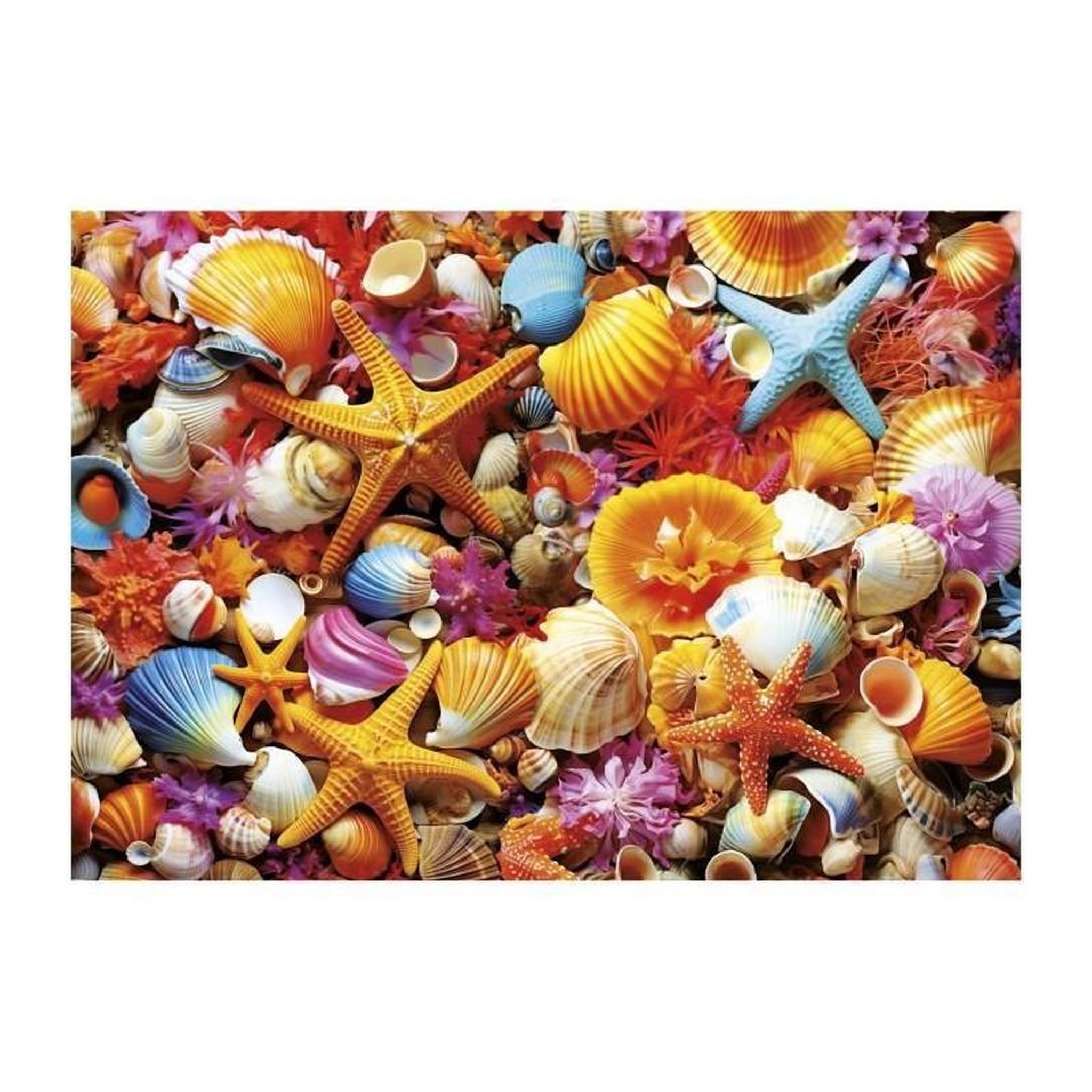 Voir la diapositive 2 : EDUCA Puzzle 1000 pièces – Collage de Coquillages – 68 x 48 cm – Educa – Dès 12 ans