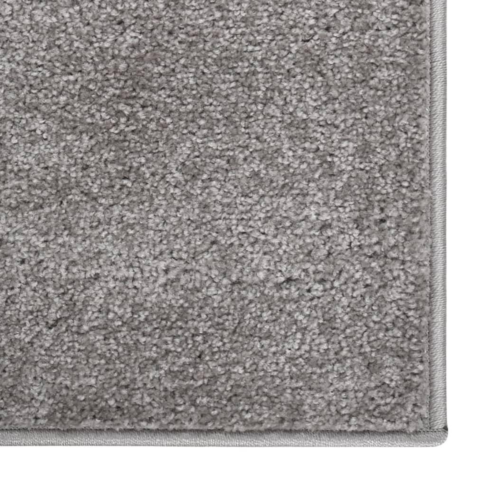 Voir la diapositive 3 : VIDAXL Tapis a poils courts 160x230 cm Gris