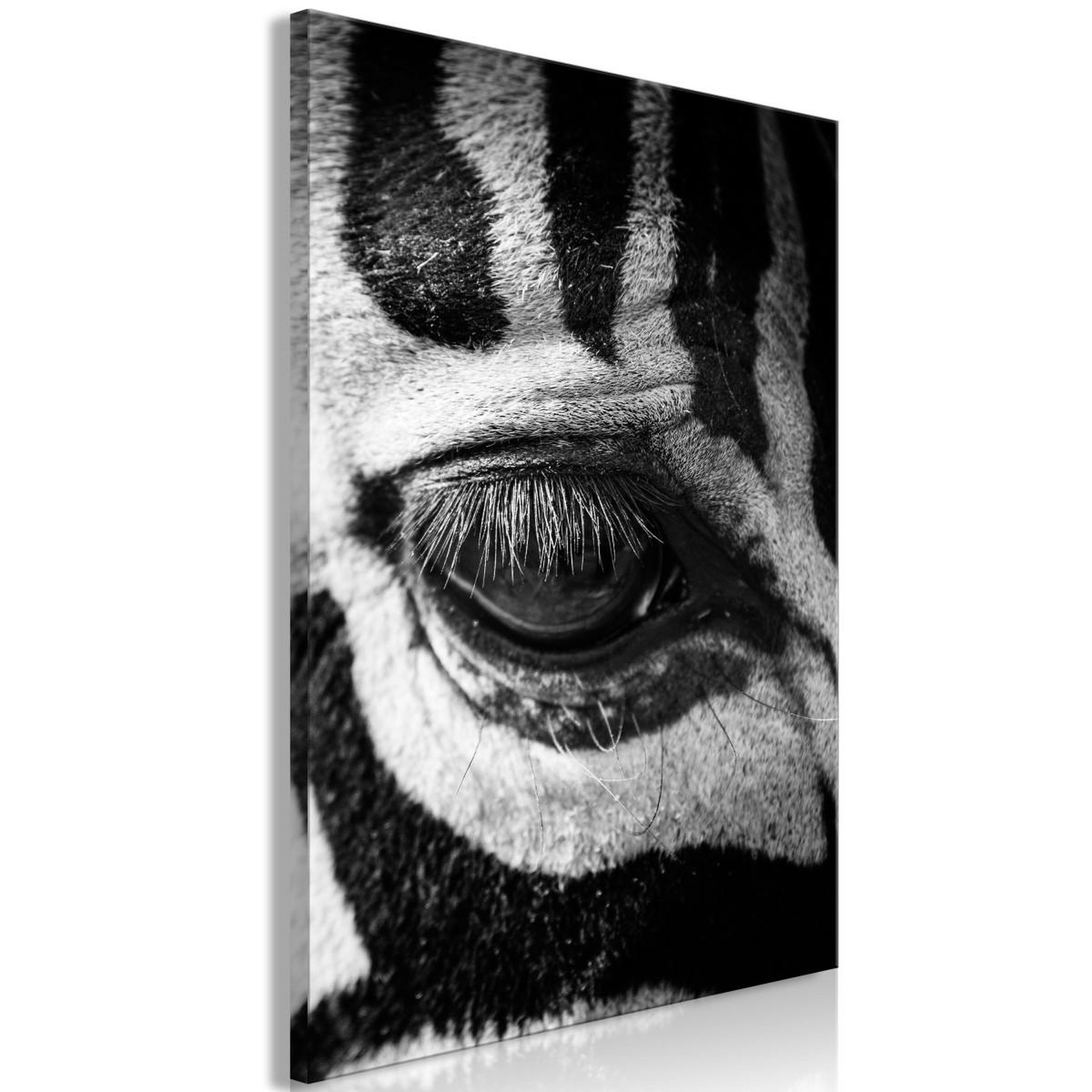 Paris Prix Tableau imprimé  zebra eye. Coloris disponibles : Multicolore
