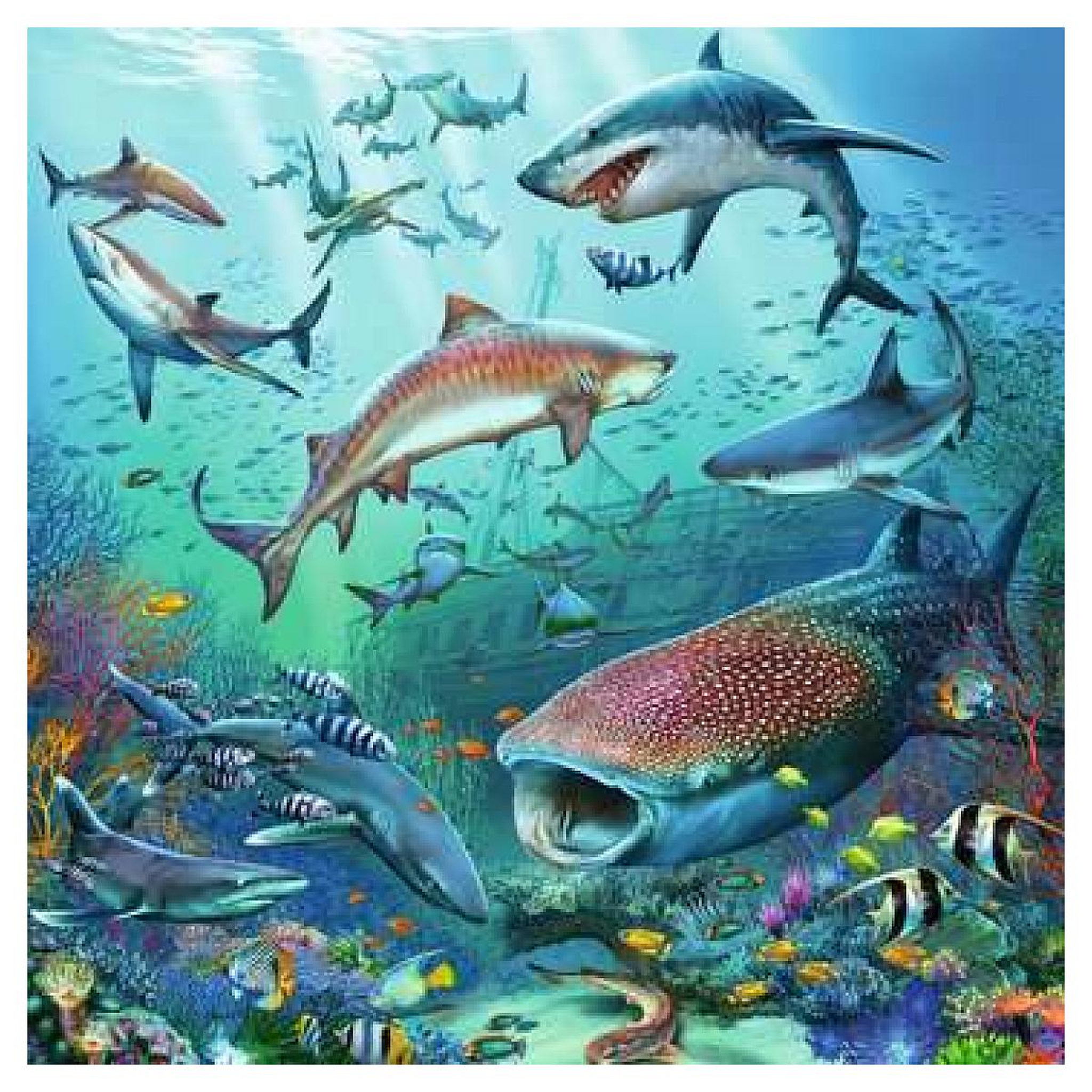 Voir la diapositive 3 : RAVENSBURGER 3 X 49pcs Le monde animal de l'océan