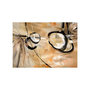 Voir la diapositive 2 : Paris Prix Papier Peint  Disharmony
