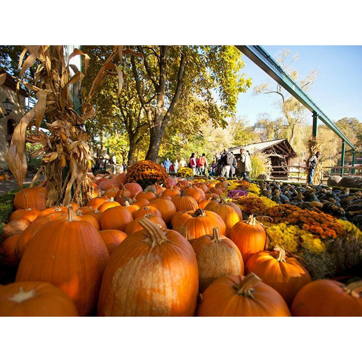 Smartbox Europa-Park 2025 en famille : 2 entrées adultes et 1 entrée enfant pour deux jours en haute saison - Coffret Cadeau Sport & Aventure