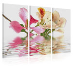 Paris Prix Tableau Imprimé  Orchid with Colorful Spots. Coloris disponibles : Multicolore