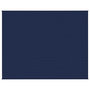 Voir la diapositive 3 : VIDAXL Couverture lestee Bleu 235x290 cm 11 kg Tissu
