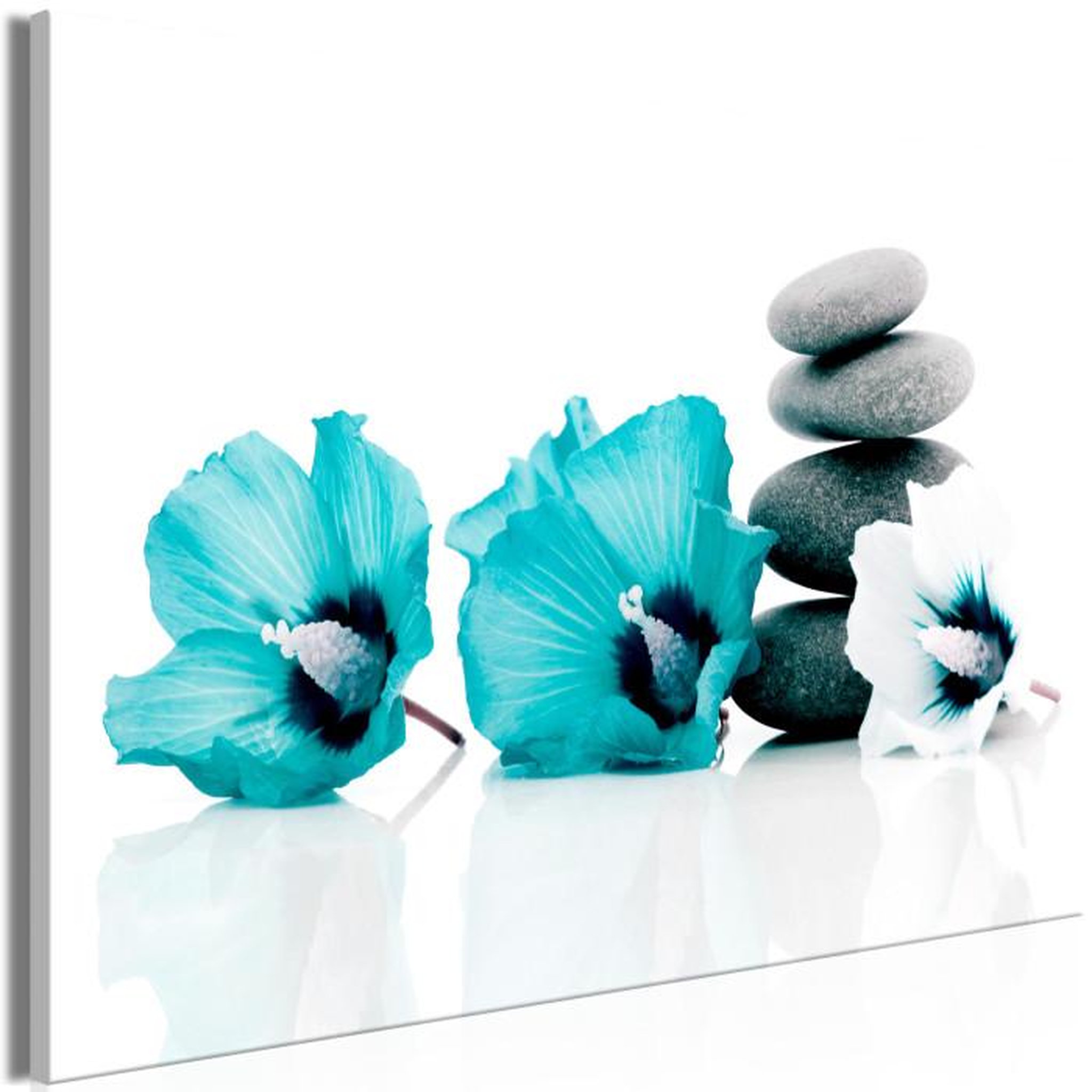Paris Prix Tableau Imprimé  Calm Mallow Wide Turquoise. Coloris disponibles : Multicolore