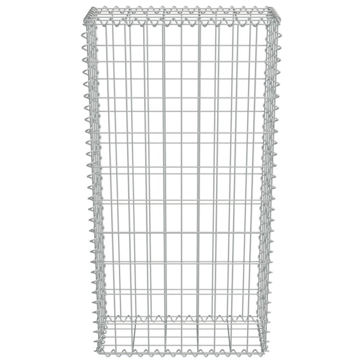 VIDAXL Mur en gabion avec couvercles Acier galvanise 50x20x100 cm