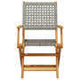Voir la diapositive 4 : VIDAXL Chaises de jardin pliantes lot de 8 gris poly rotin bois massif