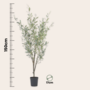 Voir la diapositive 2 : PLANT IN A BOX Olivier artificiel - Hauteur 150cm