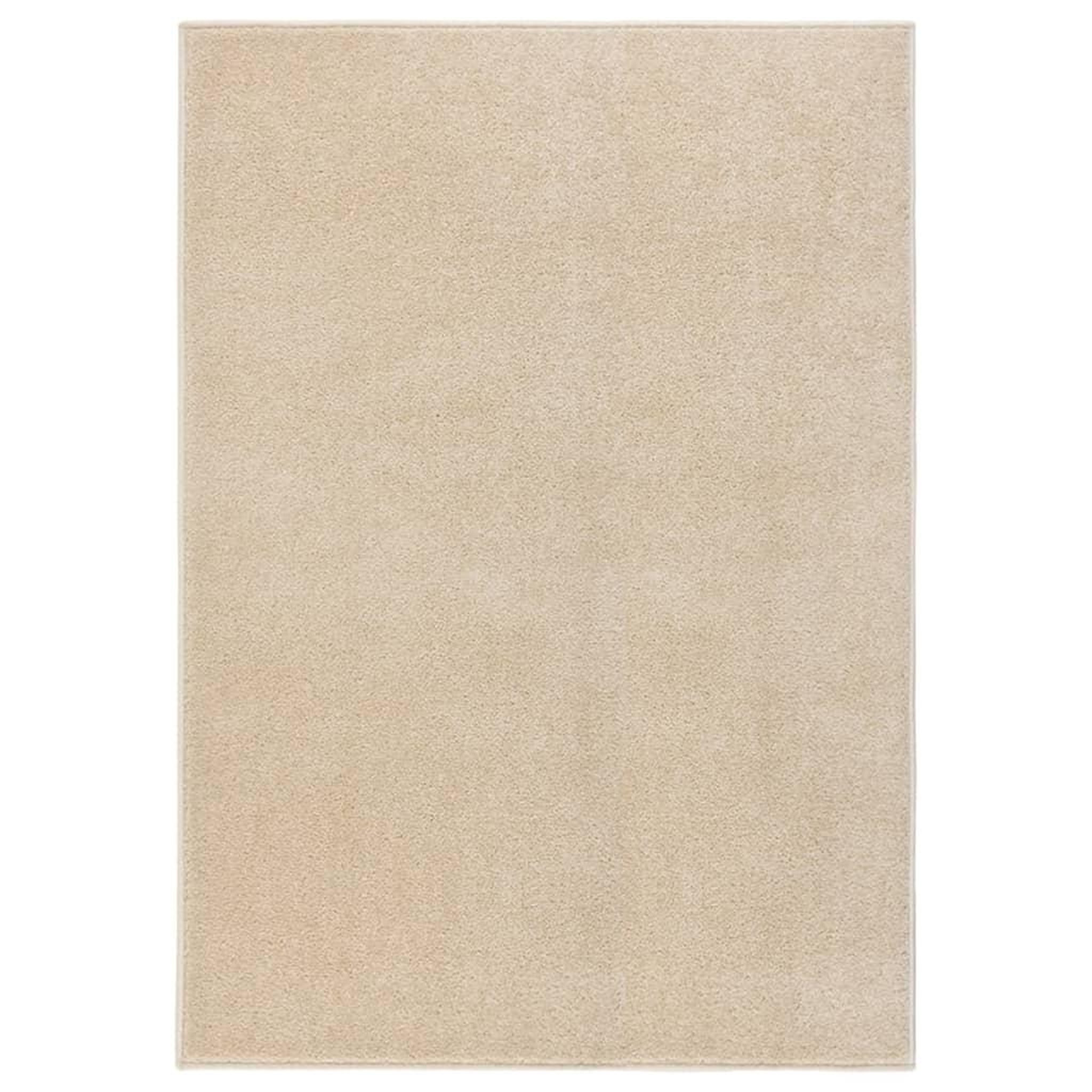 Voir la diapositive 1 : VIDAXL Tapis a poils courts 240x340 cm Beige