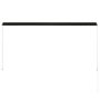Voir la diapositive 5 : VIDAXL Auvent retractable 250x150 cm Anthracite