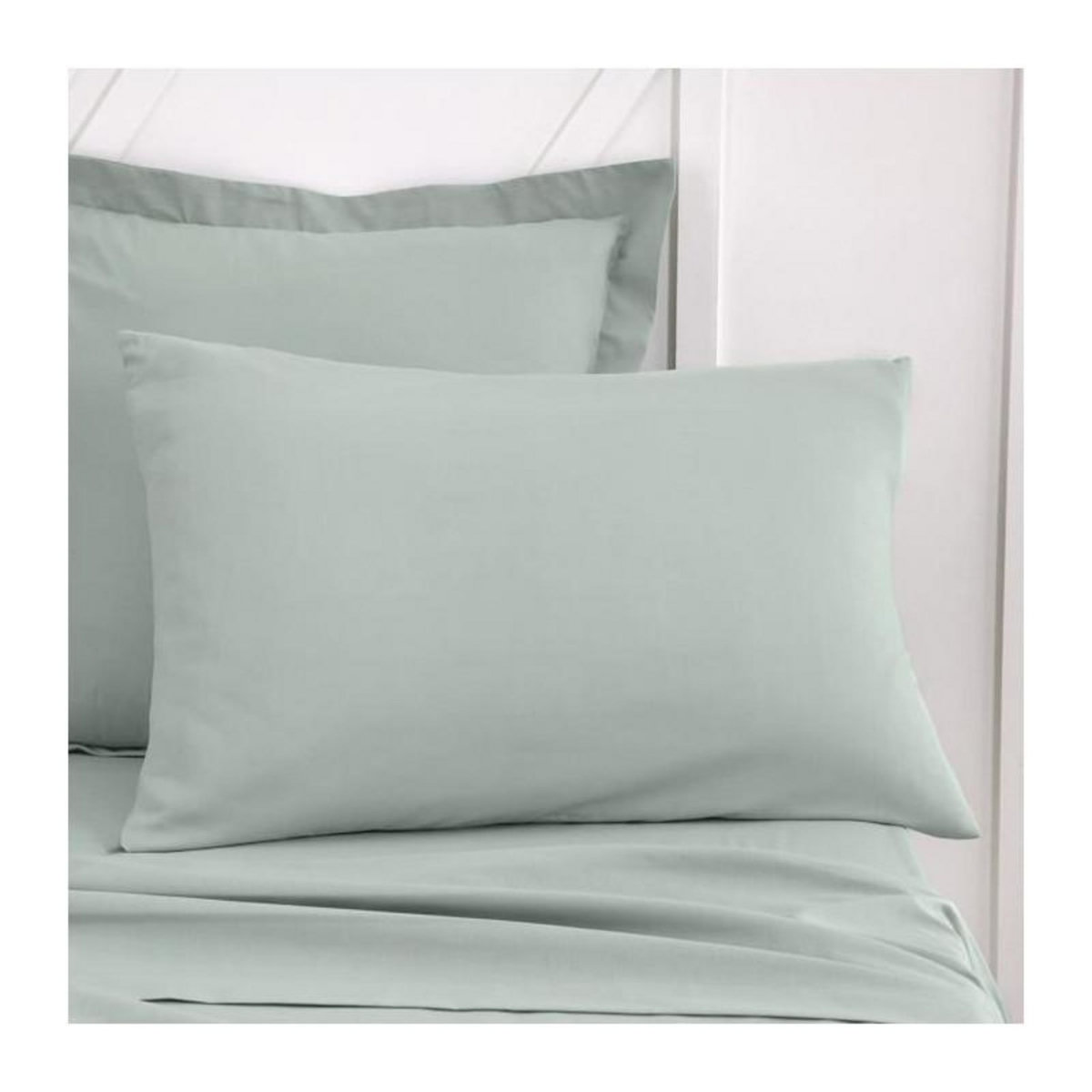 Today Taie d'oreiller TODAY Essential - 50 x 70+5 cm - 100% Coton uni - Celadon
