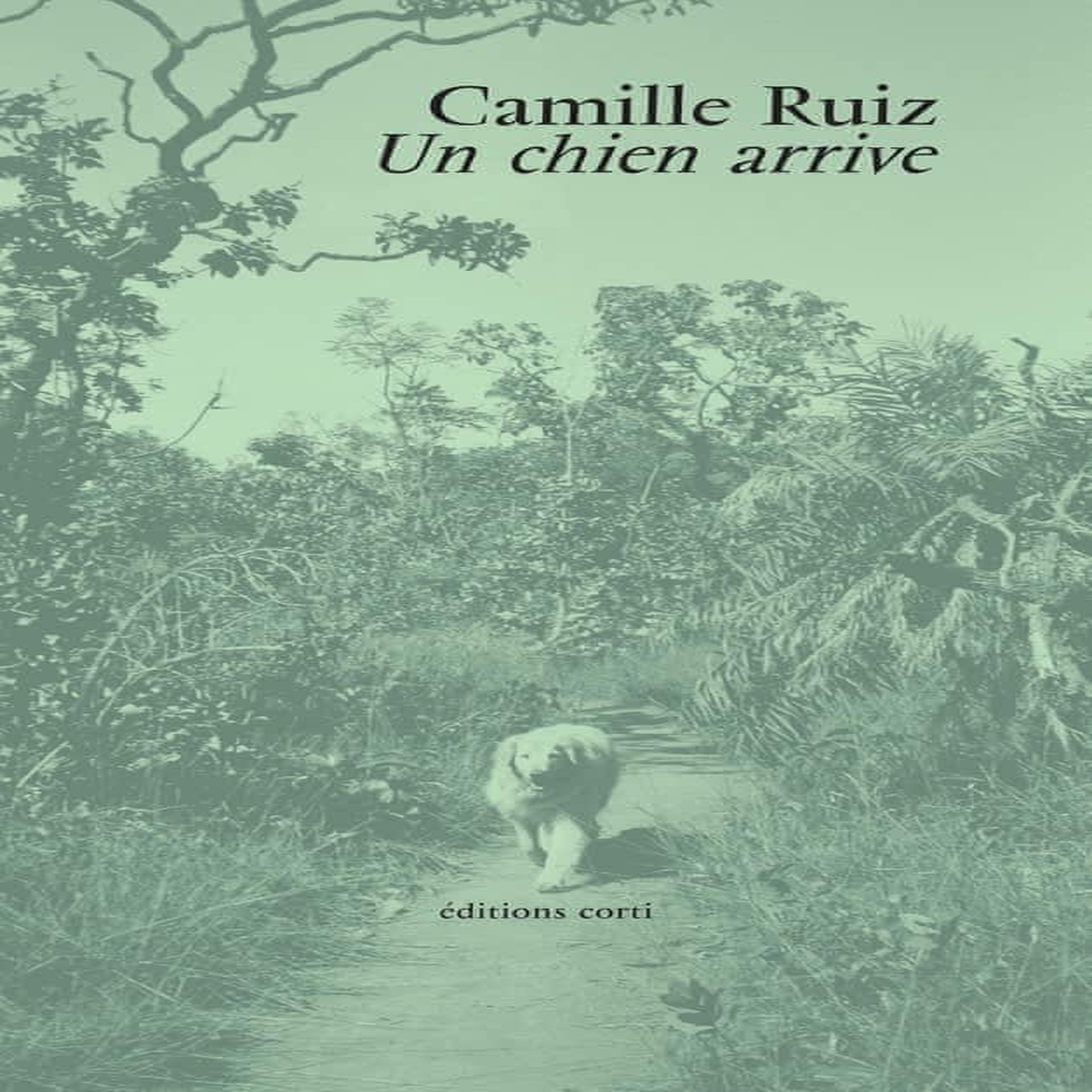 UN CHIEN ARRIVE, Ruiz Camille