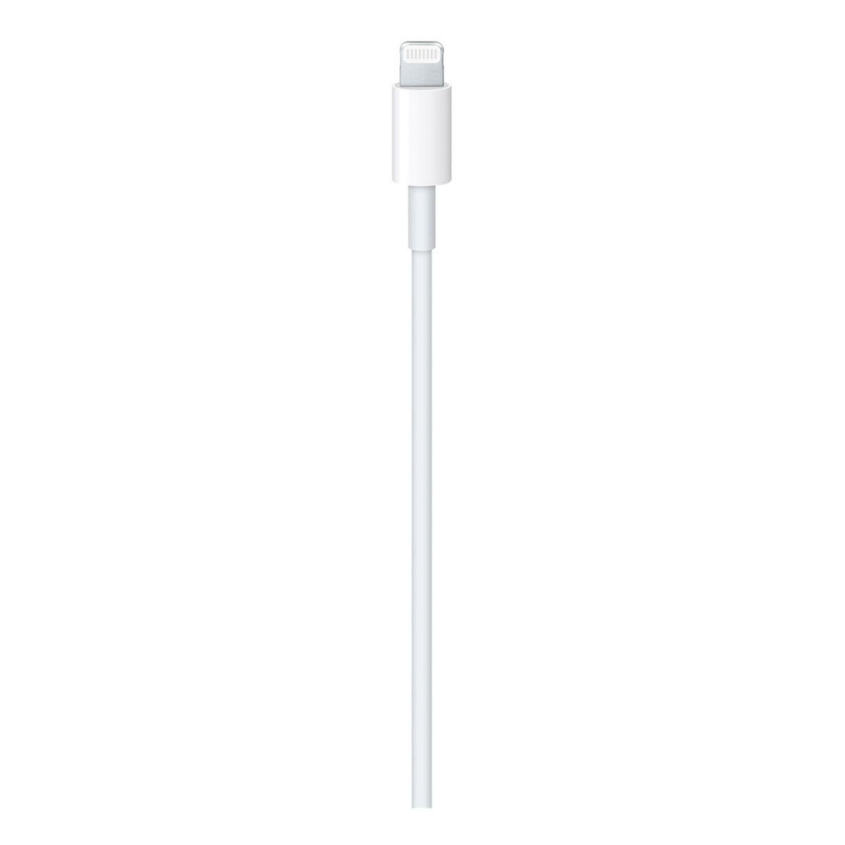 APPLE Câble lightning vers USB-C 2m